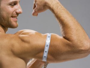 العوامل الأساسية لبناء العضلات