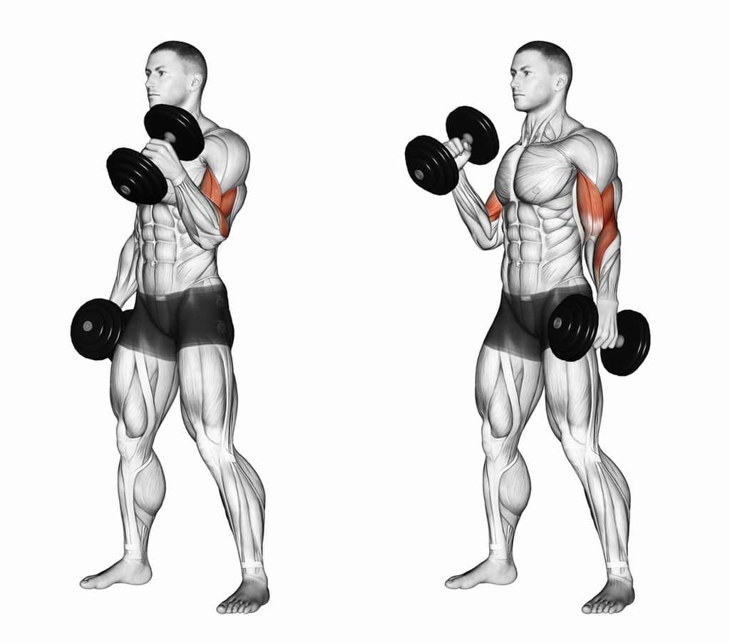 Triceps Pushdowns
