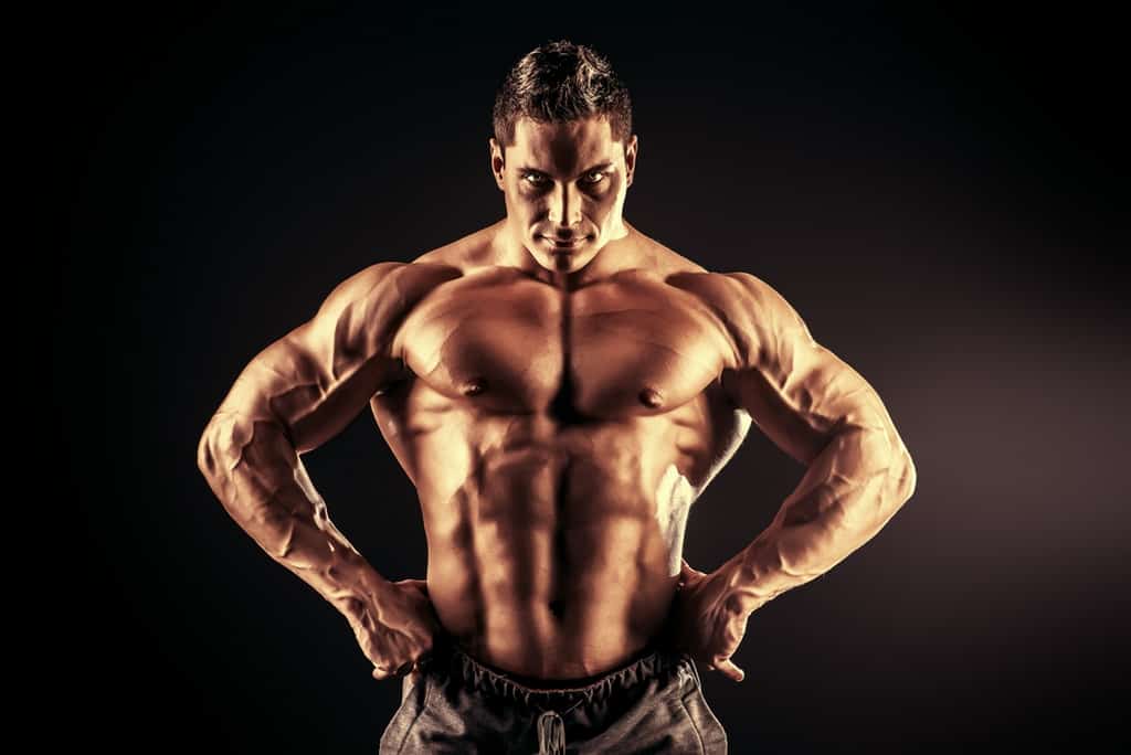 بناء العضلات للجسم النحيف