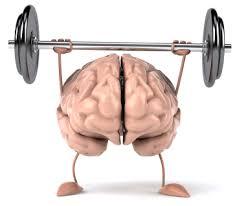 كيف تعمل ذاكرة العضلات؟